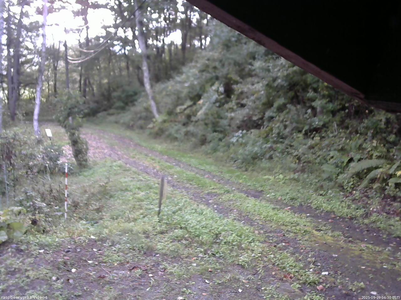 長野県菅平高原 ゆたか山荘 東側(坂下) 2025/09/29 06:30