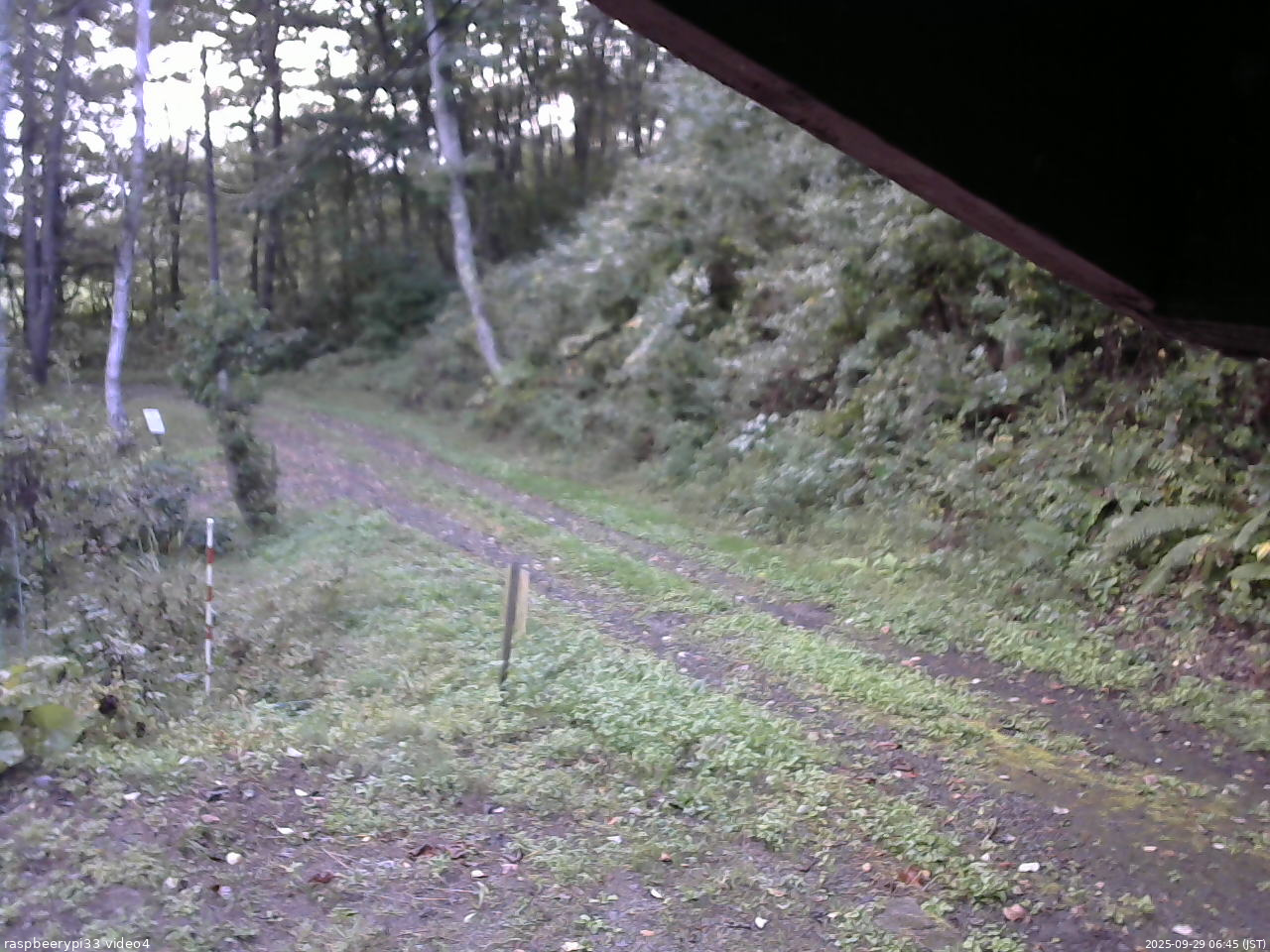 長野県菅平高原 ゆたか山荘 東側(坂下) 2025/09/29 06:45