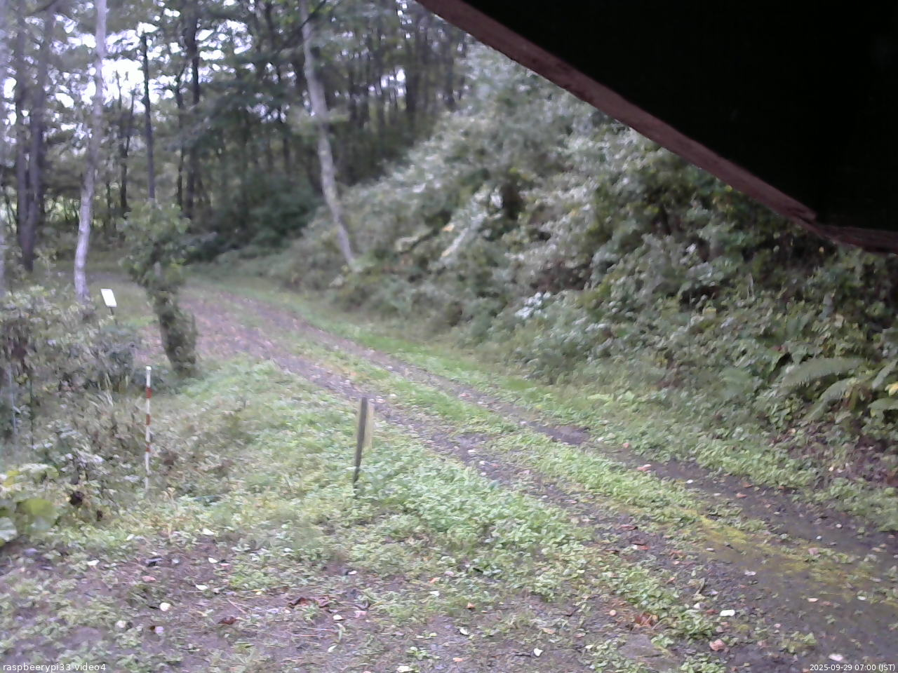 長野県菅平高原 ゆたか山荘 東側(坂下) 2025/09/29 07:00