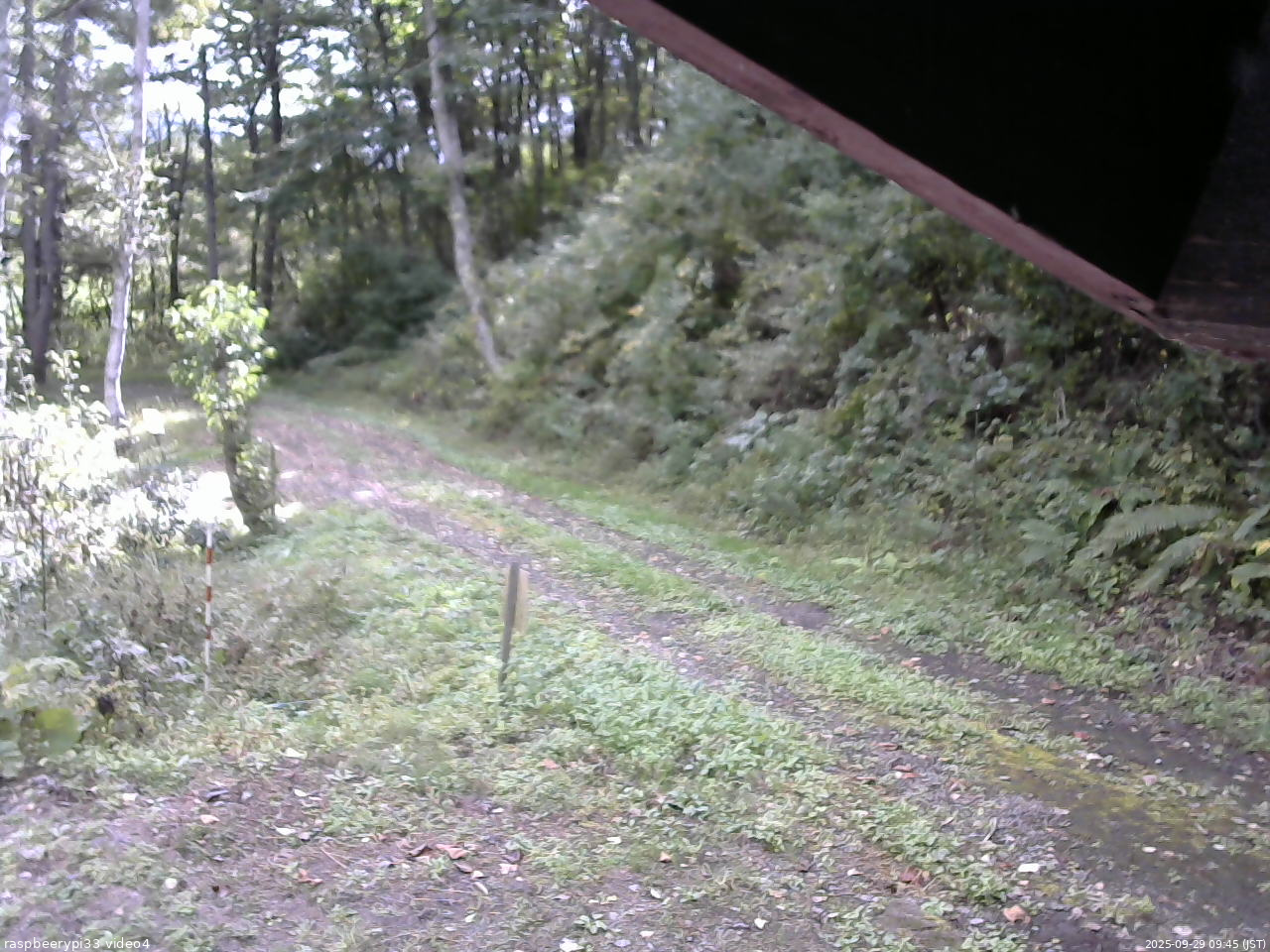 長野県菅平高原 ゆたか山荘 東側(坂下) 2025/09/29 09:45