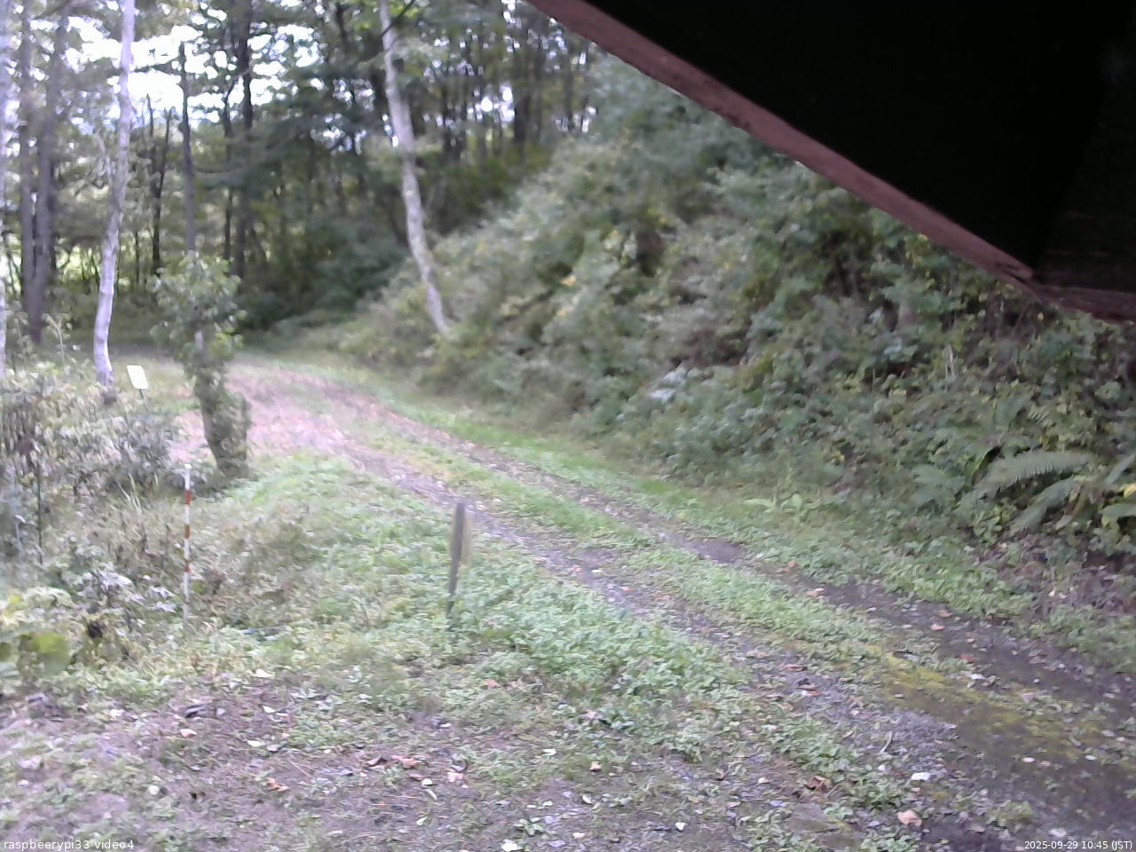長野県菅平高原 ゆたか山荘 東側(坂下) 2025/09/29 10:45