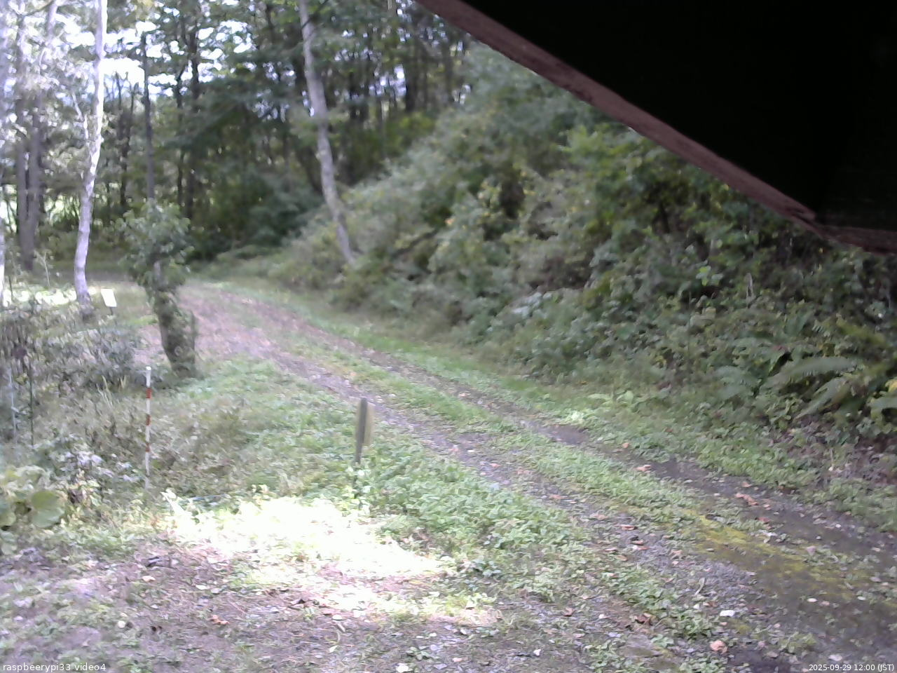 長野県菅平高原 ゆたか山荘 東側(坂下) 2025/09/29 12:00