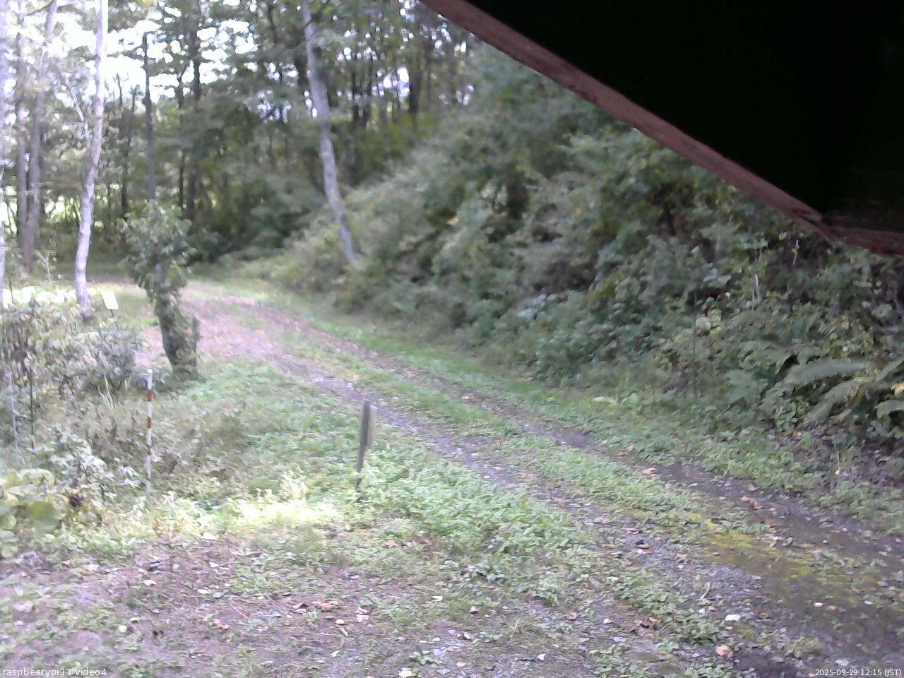 長野県菅平高原 ゆたか山荘 東側(坂下) 2025/09/29 12:15