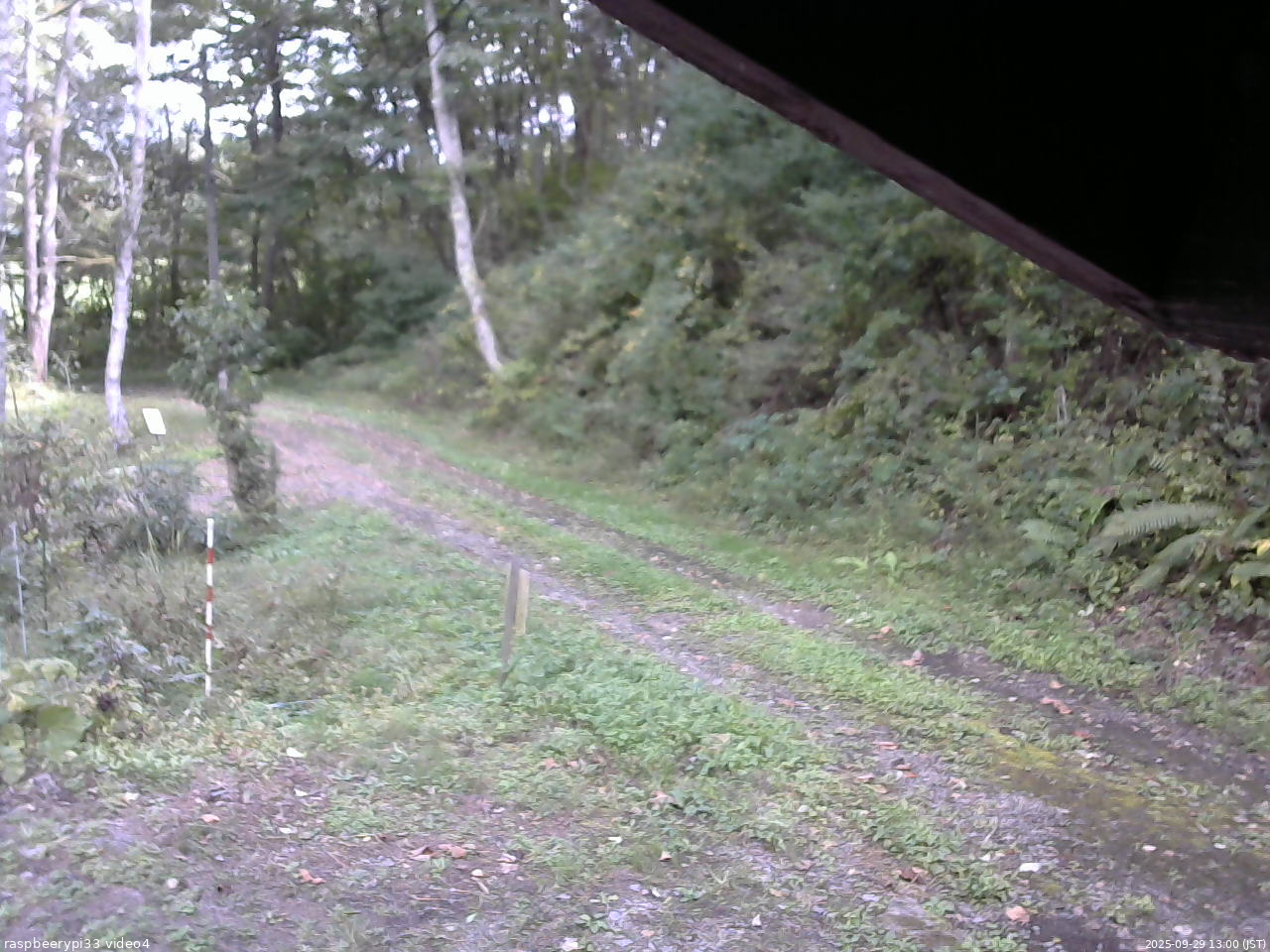 長野県菅平高原 ゆたか山荘 東側(坂下) 2025/09/29 13:00