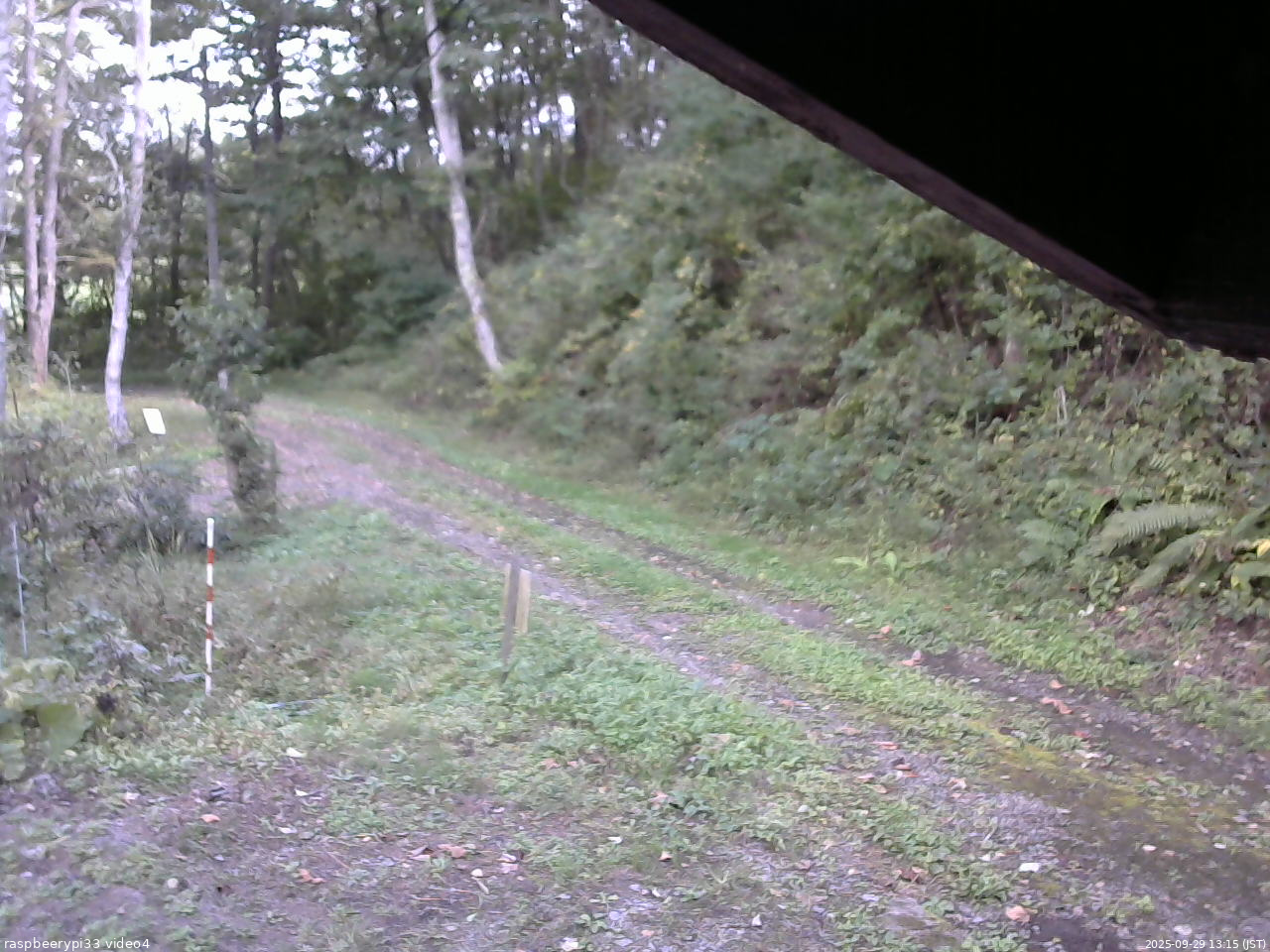長野県菅平高原 ゆたか山荘 東側(坂下) 2025/09/29 13:15