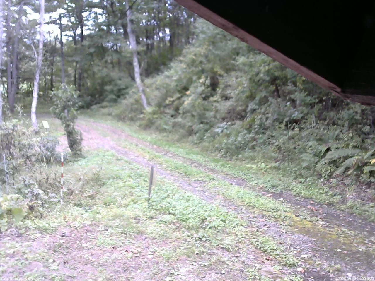 長野県菅平高原 ゆたか山荘 東側(坂下) 2025/09/29 14:00