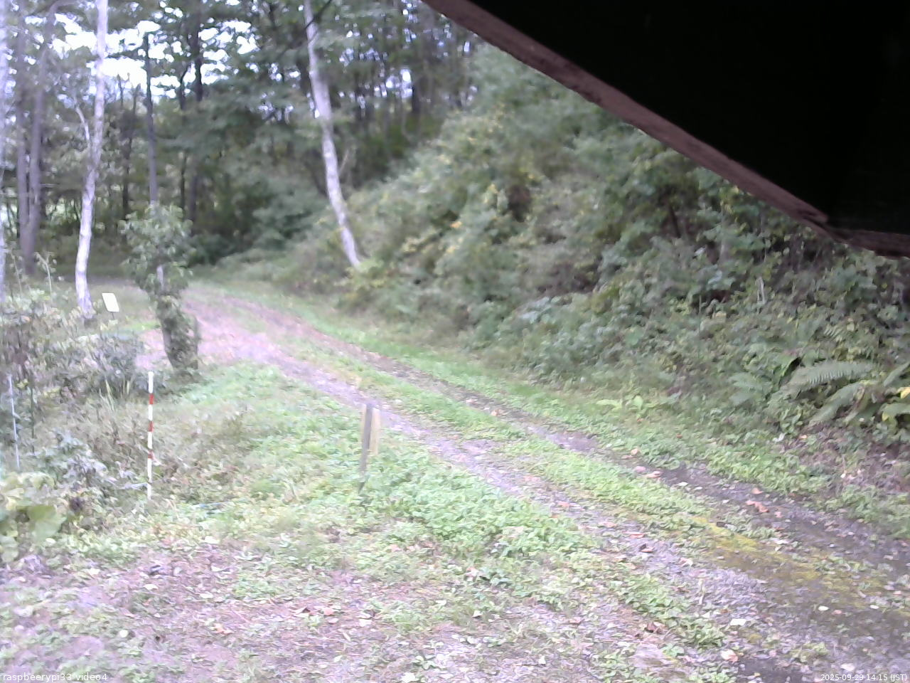 長野県菅平高原 ゆたか山荘 東側(坂下) 2025/09/29 14:15