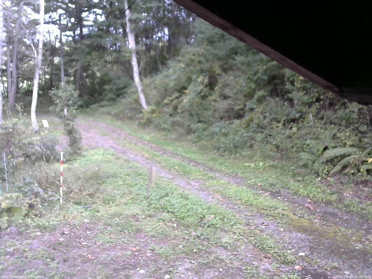 長野県菅平高原 ゆたか山荘 東側(坂下) 2025/09/29 15:30