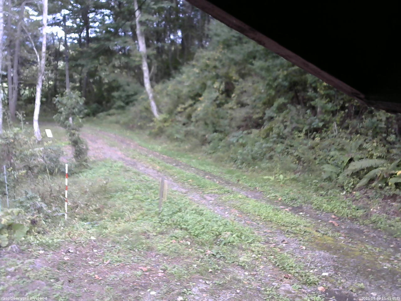 長野県菅平高原 ゆたか山荘 東側(坂下) 2025/09/29 15:45
