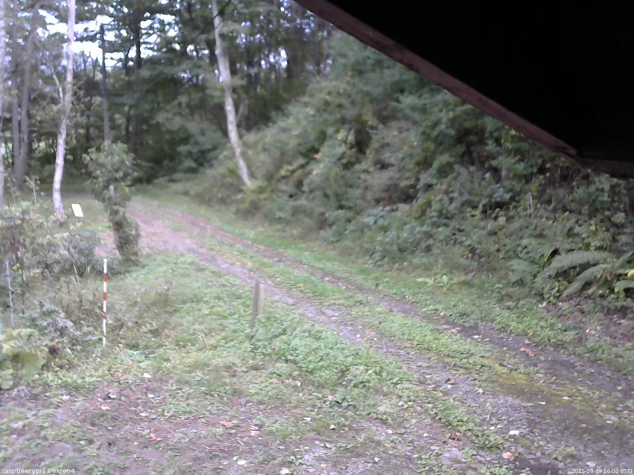 長野県菅平高原 ゆたか山荘 東側(坂下) 2025/09/29 16:00