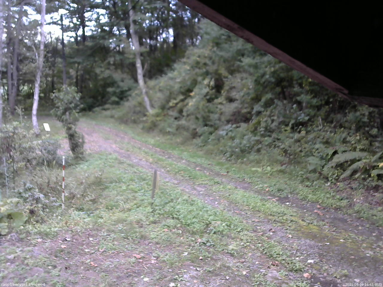 長野県菅平高原 ゆたか山荘 東側(坂下) 2025/09/29 16:45