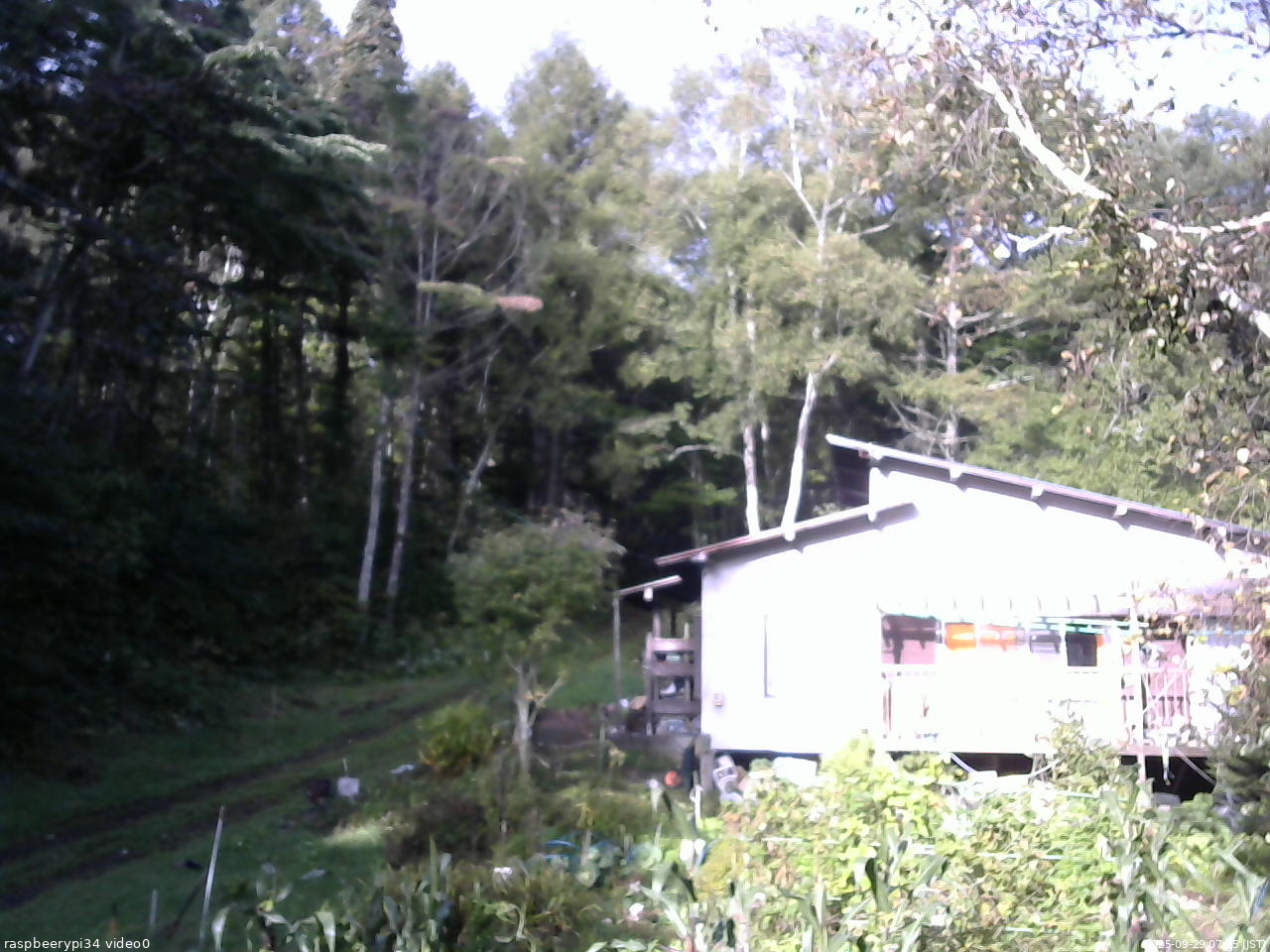 長野県菅平高原 ゆたか山荘 西側(坂上) 2025/09/29 07:15