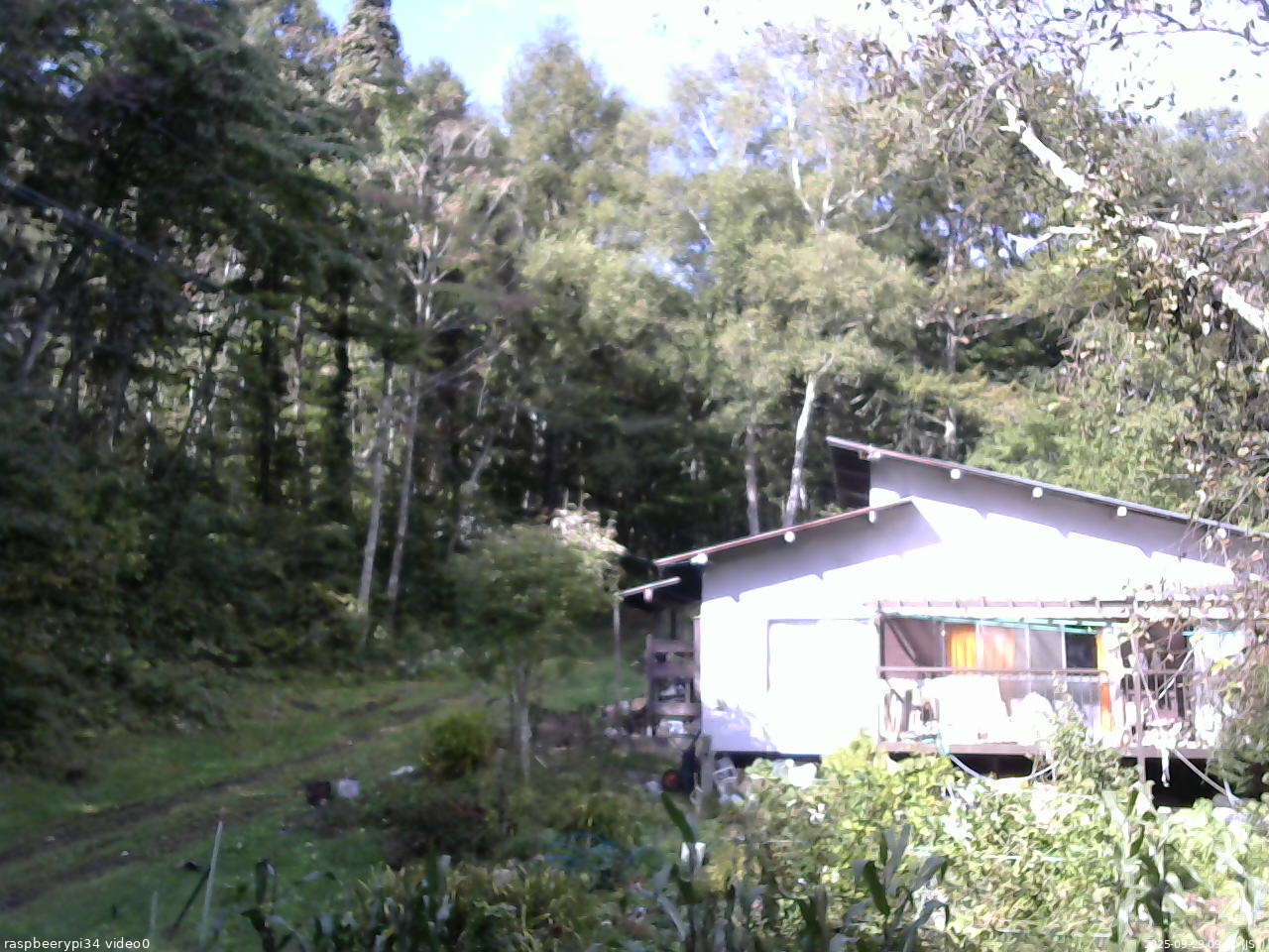 長野県菅平高原 ゆたか山荘 西側(坂上) 2025/09/29 09:00