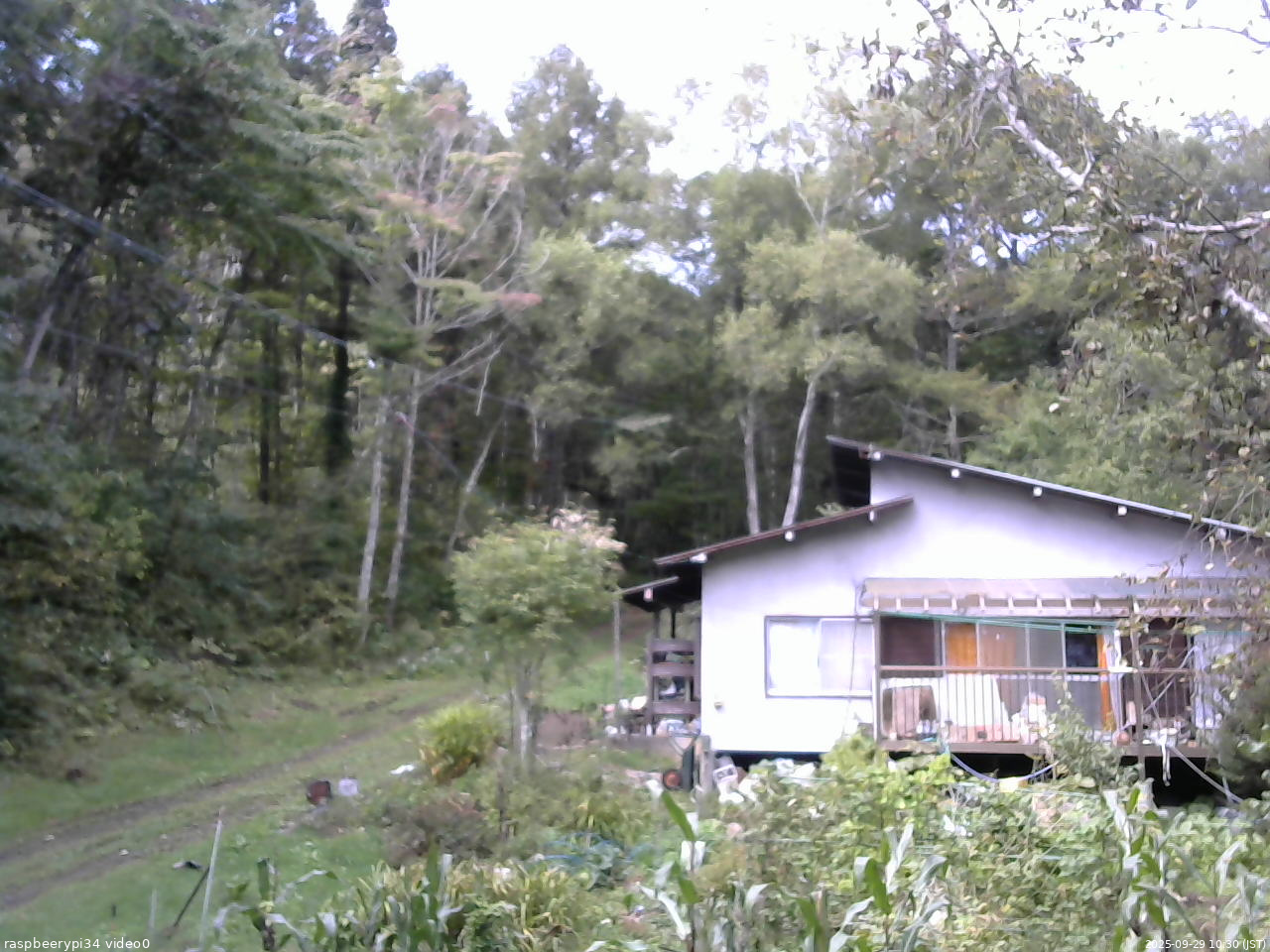 長野県菅平高原 ゆたか山荘 西側(坂上) 2025/09/29 10:30