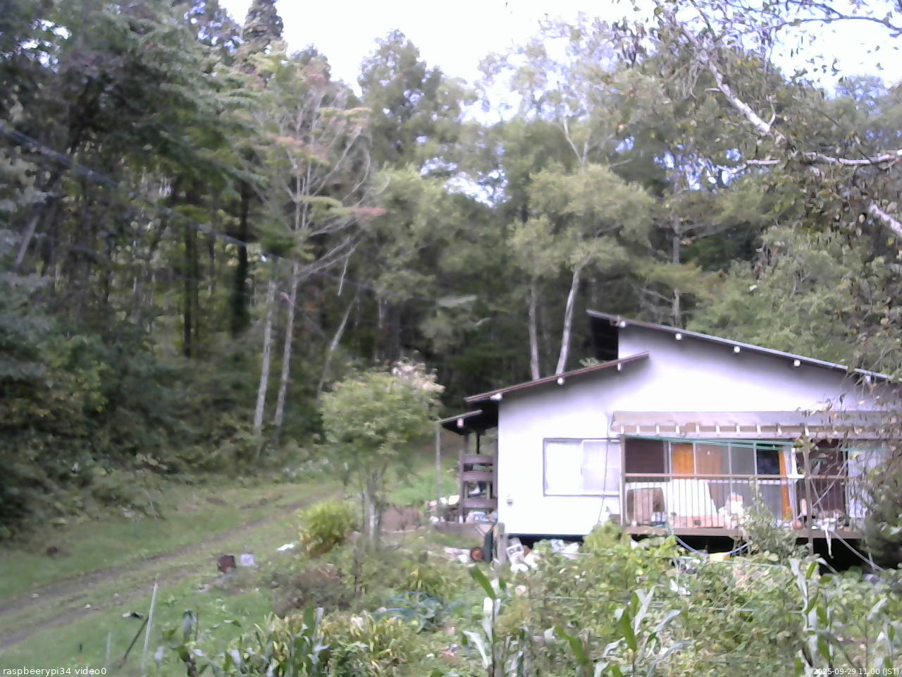 長野県菅平高原 ゆたか山荘 西側(坂上) 2025/09/29 11:00