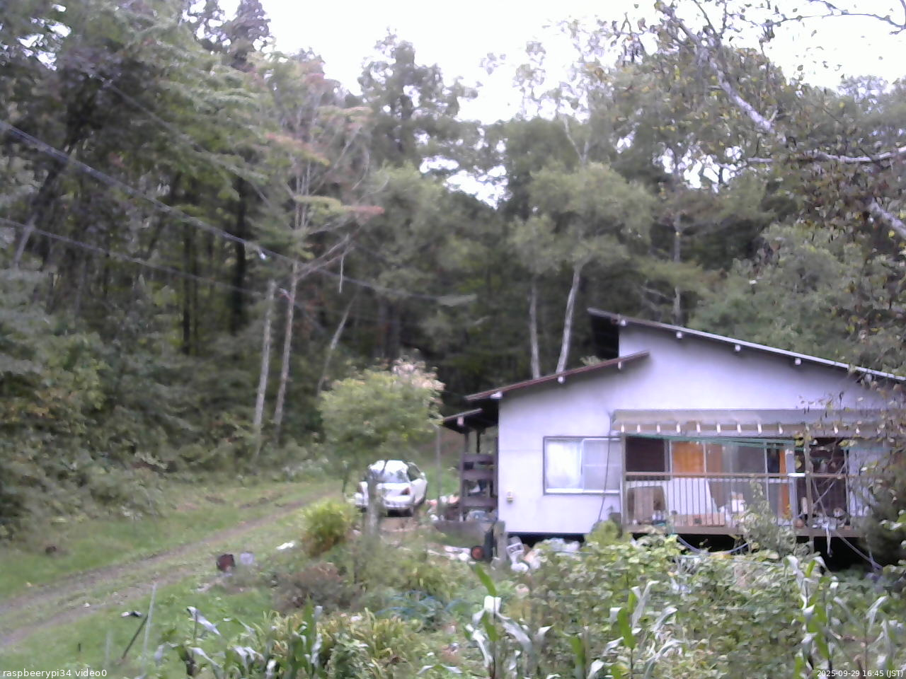 長野県菅平高原 ゆたか山荘 西側(坂上) 2025/09/29 16:45