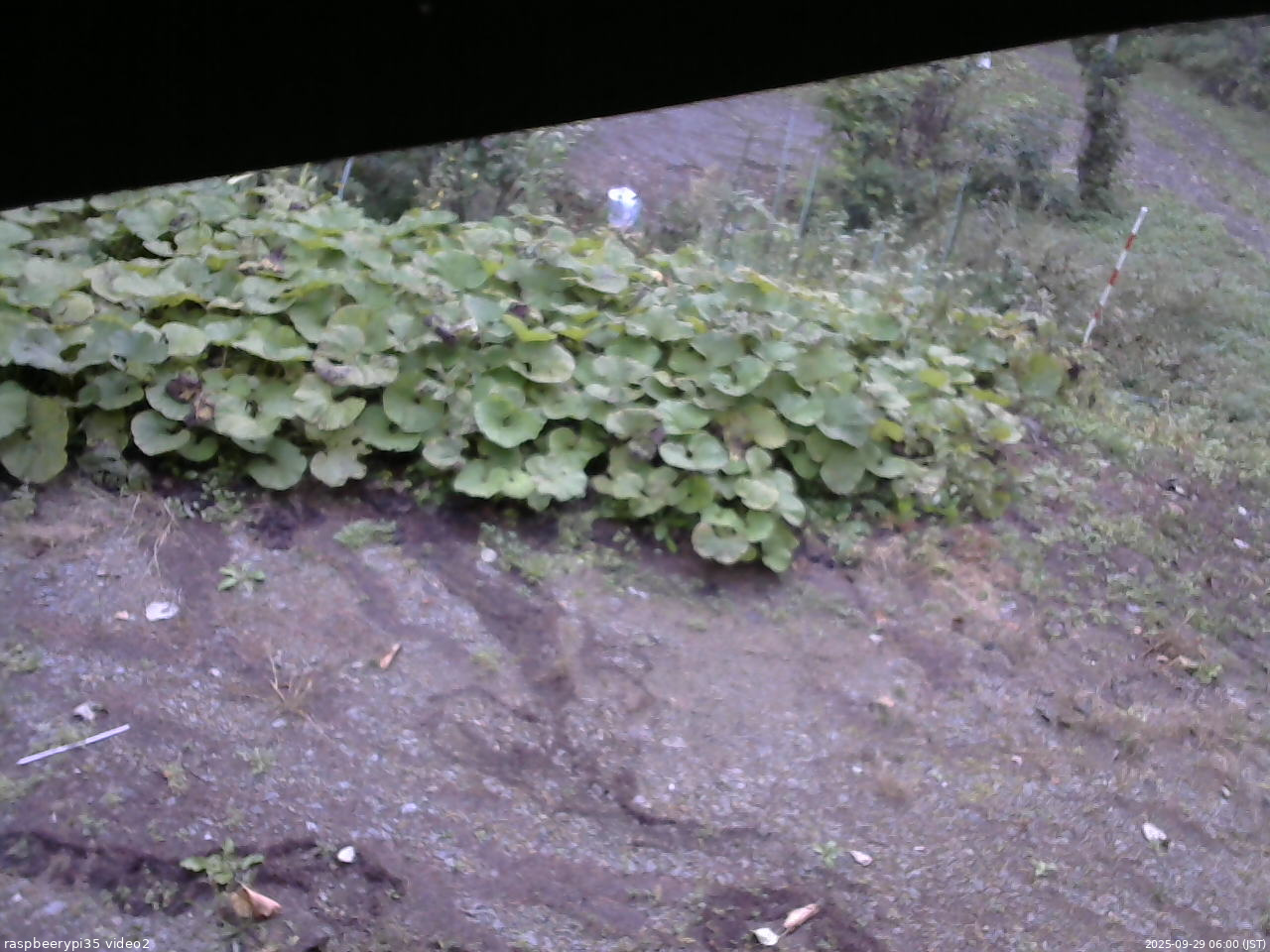 長野県菅平高原 ゆたか山荘 駐車場 2025/09/29 06:00