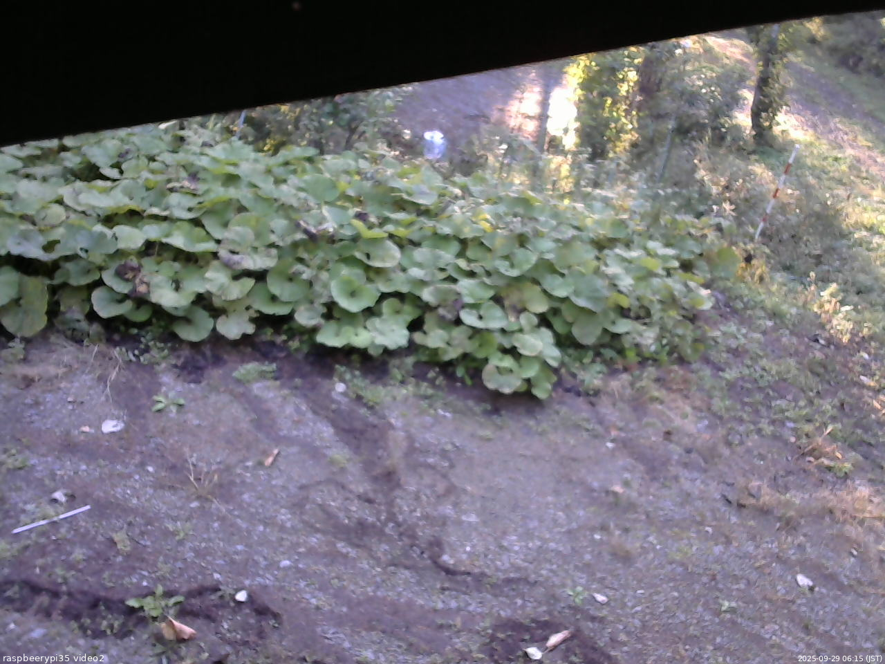 長野県菅平高原 ゆたか山荘 駐車場 2025/09/29 06:15