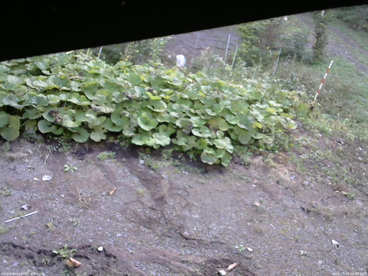 長野県菅平高原 ゆたか山荘 駐車場 2025/09/29 08:45