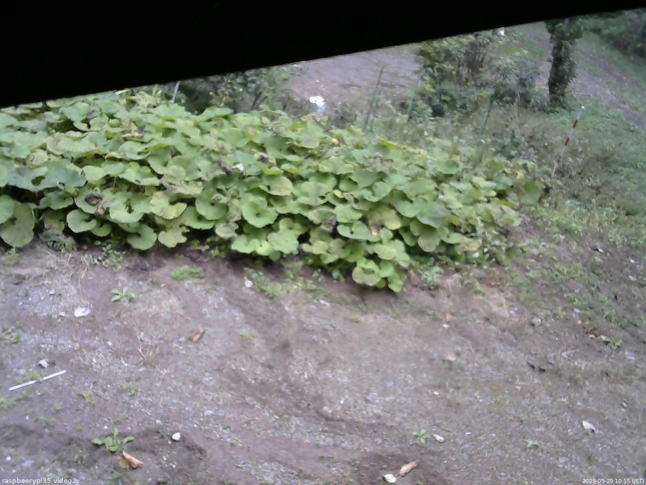 長野県菅平高原 ゆたか山荘 駐車場 2025/09/29 10:15