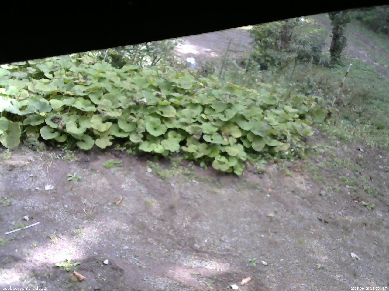 長野県菅平高原 ゆたか山荘 駐車場 2025/09/29 11:00