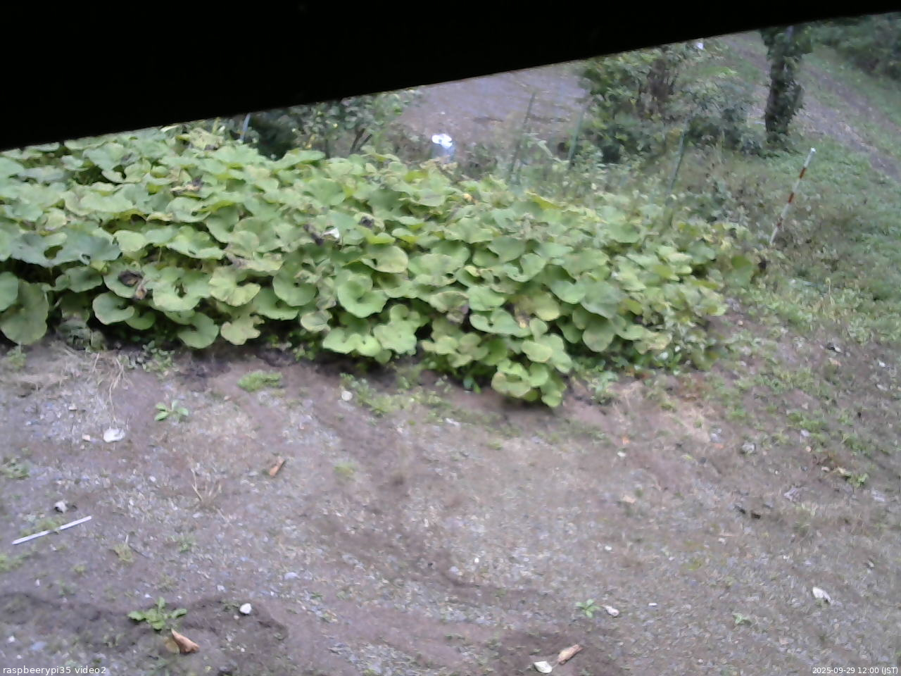 長野県菅平高原 ゆたか山荘 駐車場 2025/09/29 12:00