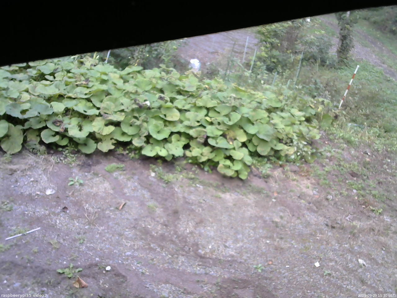 長野県菅平高原 ゆたか山荘 駐車場 2025/09/29 15:30