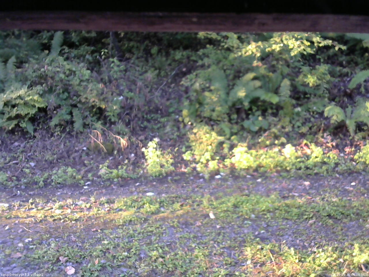 長野県菅平高原 ゆたか山荘 南側 2025/09/30 06:00
