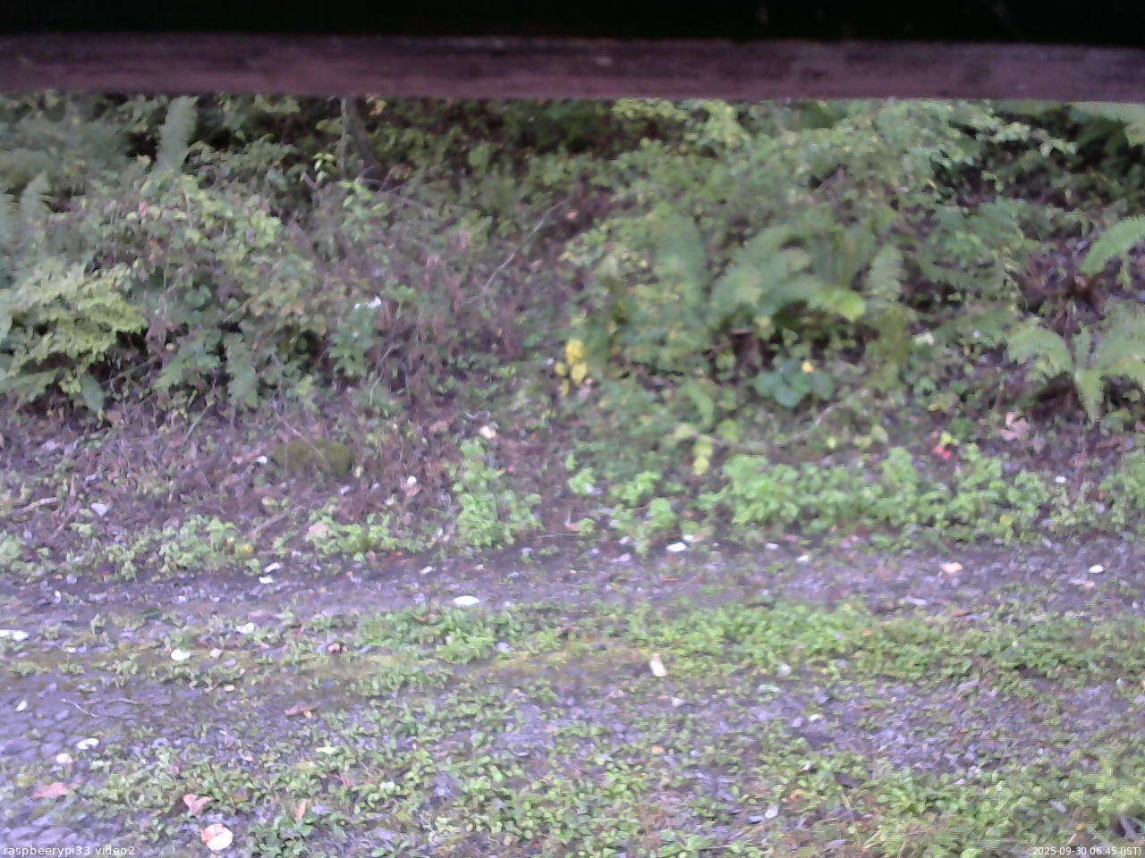 長野県菅平高原 ゆたか山荘 南側 2025/09/30 06:45