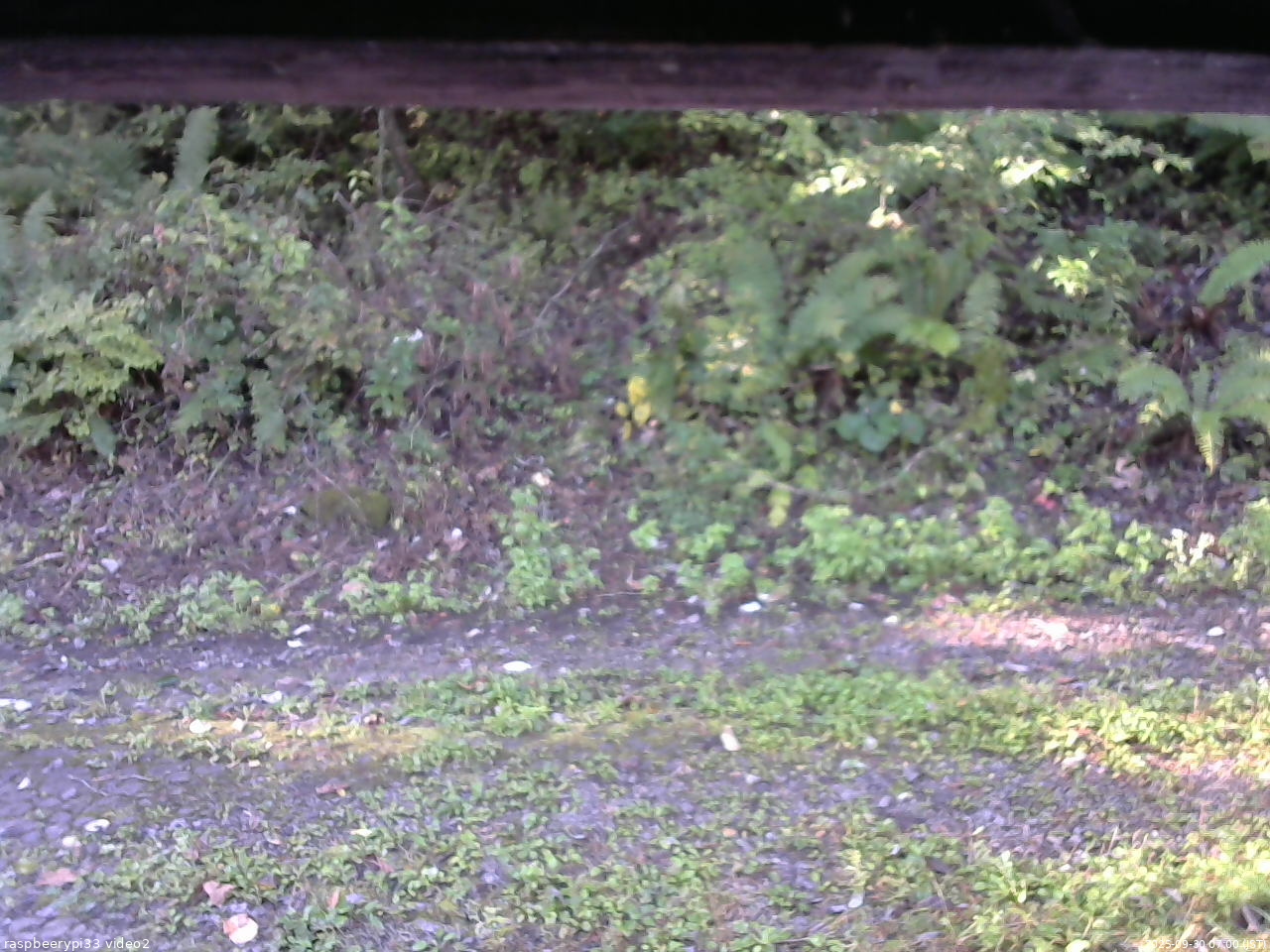 長野県菅平高原 ゆたか山荘 南側 2025/09/30 07:00