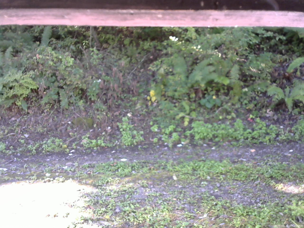 長野県菅平高原 ゆたか山荘 南側 2025/09/30 07:45