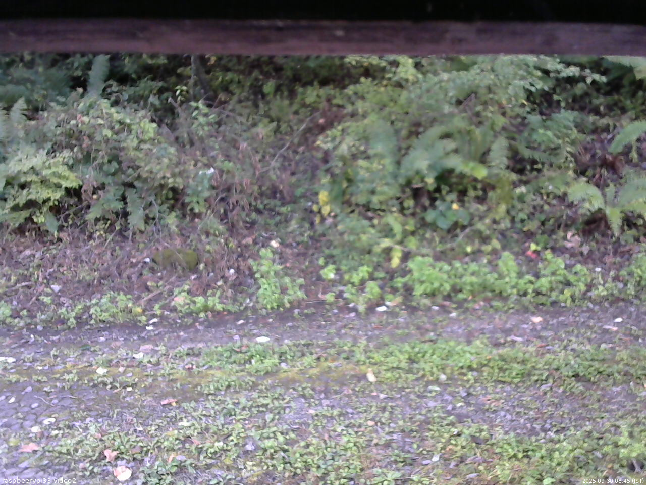長野県菅平高原 ゆたか山荘 南側 2025/09/30 08:45