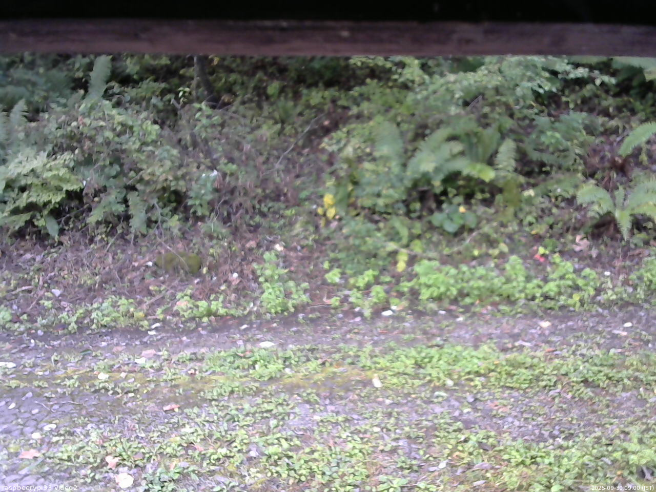 長野県菅平高原 ゆたか山荘 南側 2025/09/30 09:00