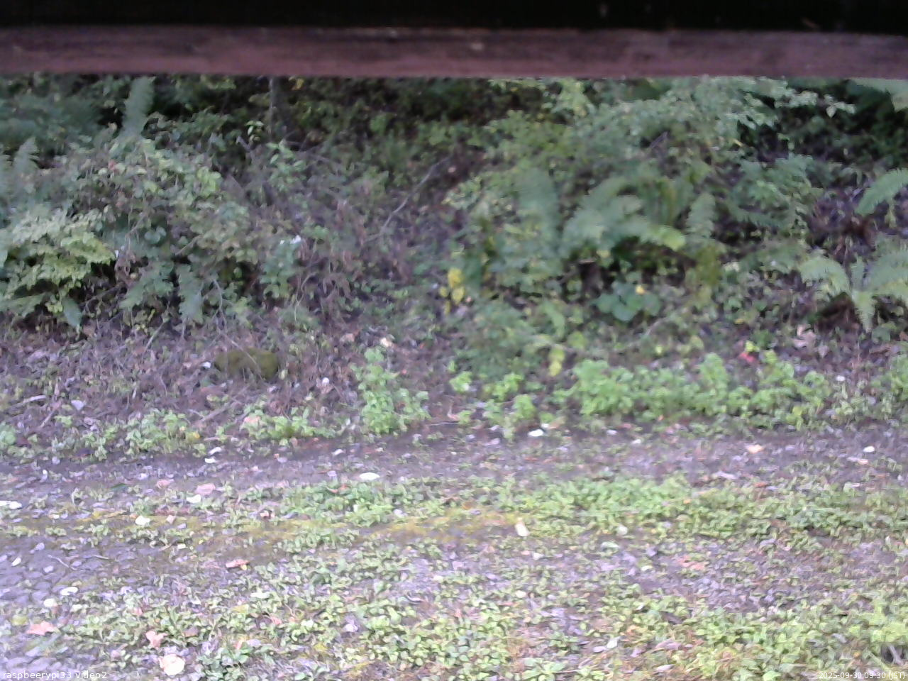 長野県菅平高原 ゆたか山荘 南側 2025/09/30 09:30