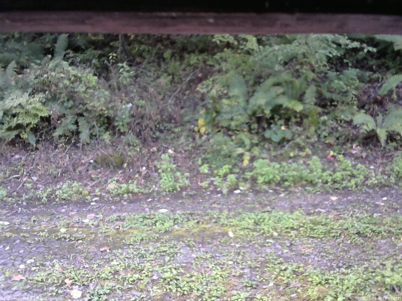 長野県菅平高原 ゆたか山荘 南側 2025/09/30 10:00