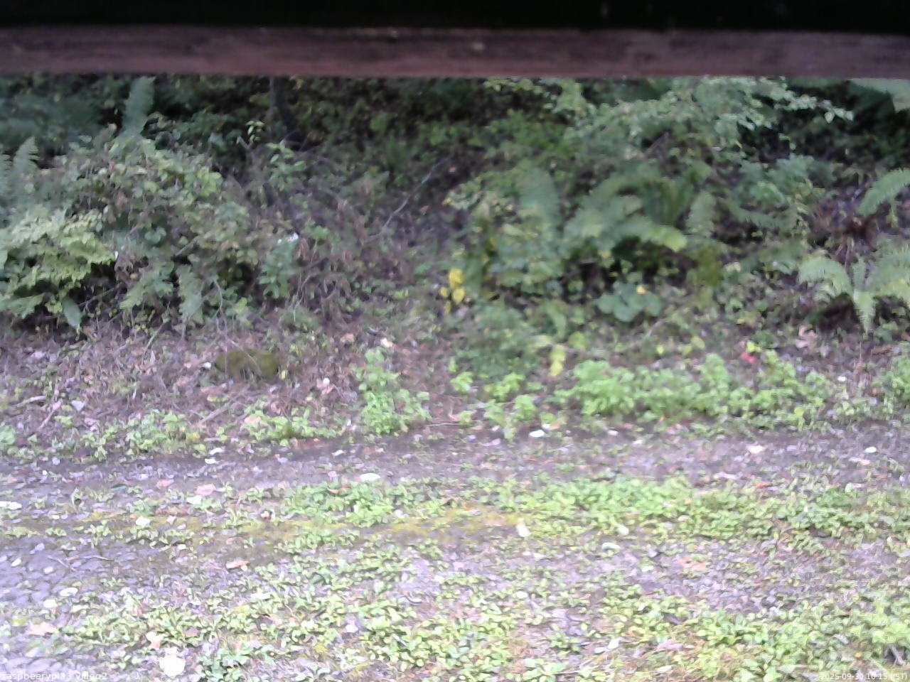 長野県菅平高原 ゆたか山荘 南側 2025/09/30 10:15