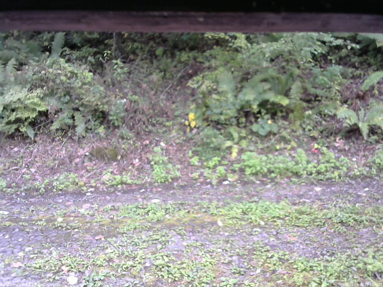 長野県菅平高原 ゆたか山荘 南側 2025/09/30 11:15