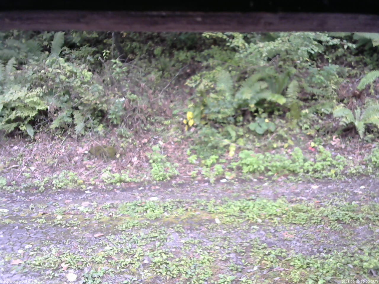 長野県菅平高原 ゆたか山荘 南側 2025/09/30 12:00