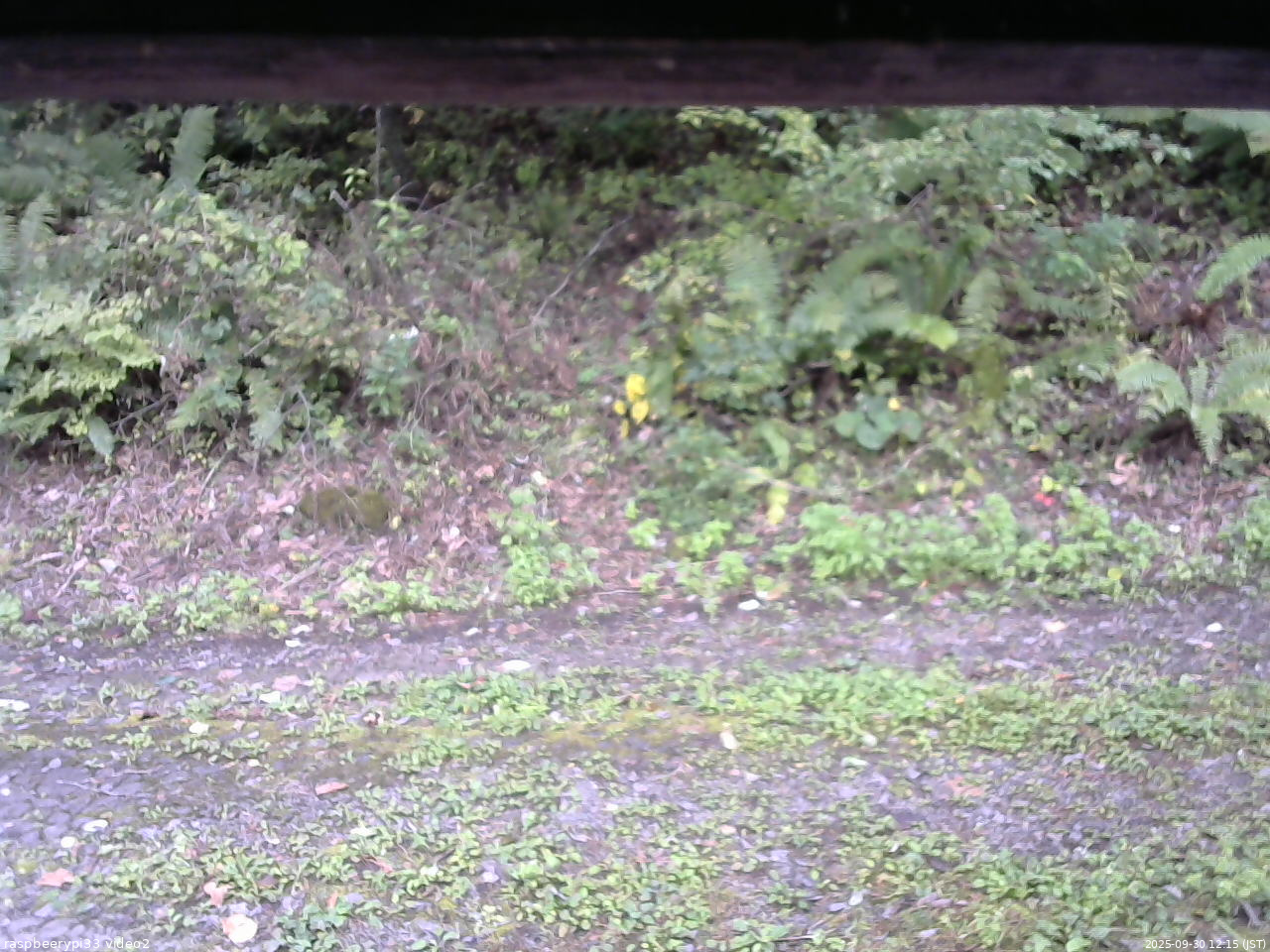 長野県菅平高原 ゆたか山荘 南側 2025/09/30 12:15