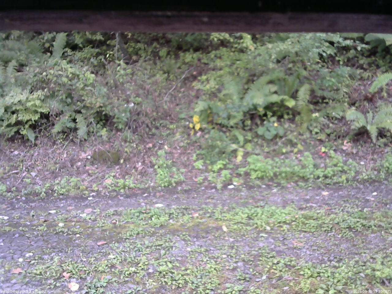 長野県菅平高原 ゆたか山荘 南側 2025/09/30 13:30