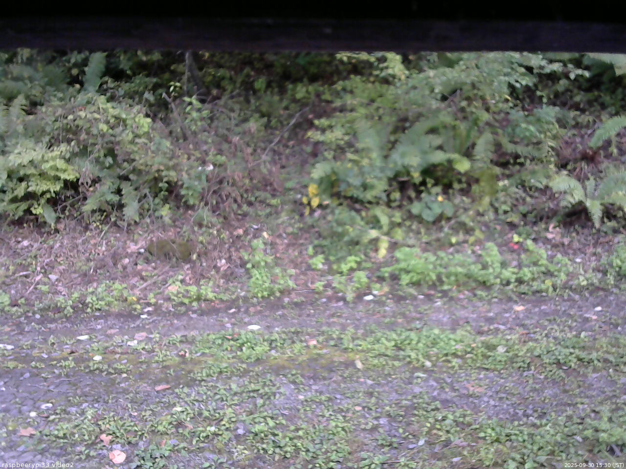 長野県菅平高原 ゆたか山荘 南側 2025/09/30 15:30