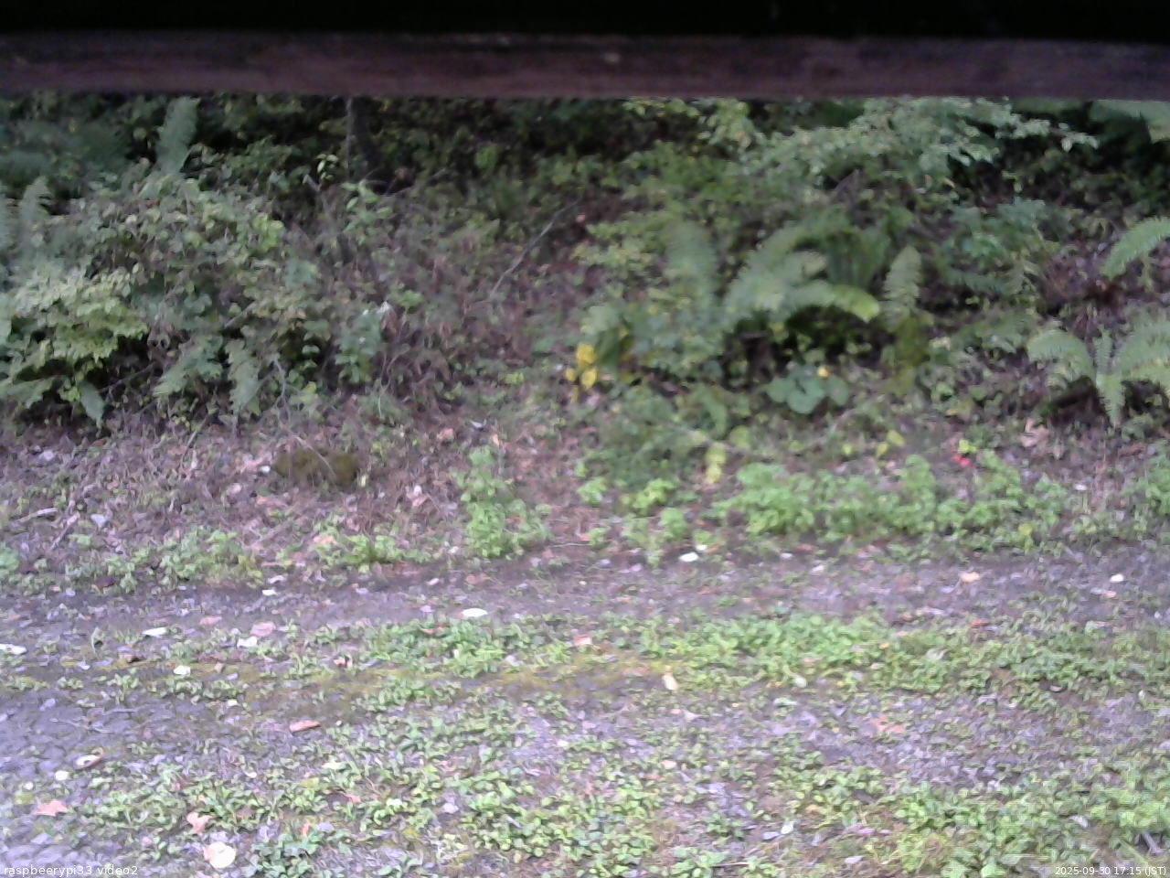 長野県菅平高原 ゆたか山荘 南側 2025/09/30 17:15