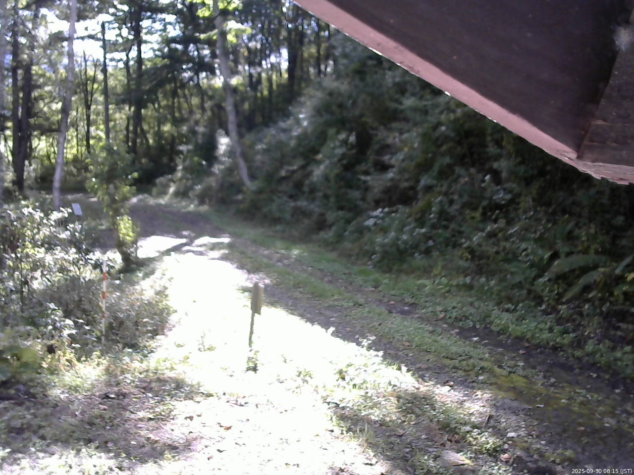 長野県菅平高原 ゆたか山荘 東側(坂下) 2025/09/30 08:15