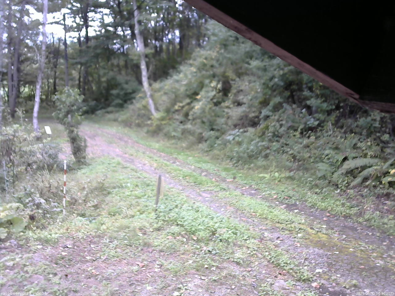 長野県菅平高原 ゆたか山荘 東側(坂下) 2025/09/30 10:30