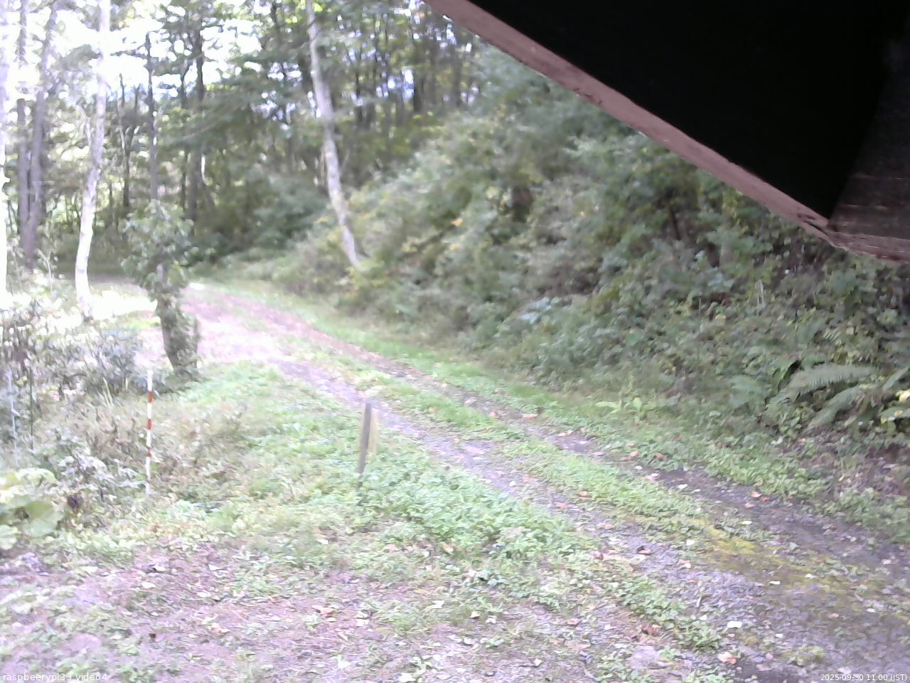 長野県菅平高原 ゆたか山荘 東側(坂下) 2025/09/30 11:00