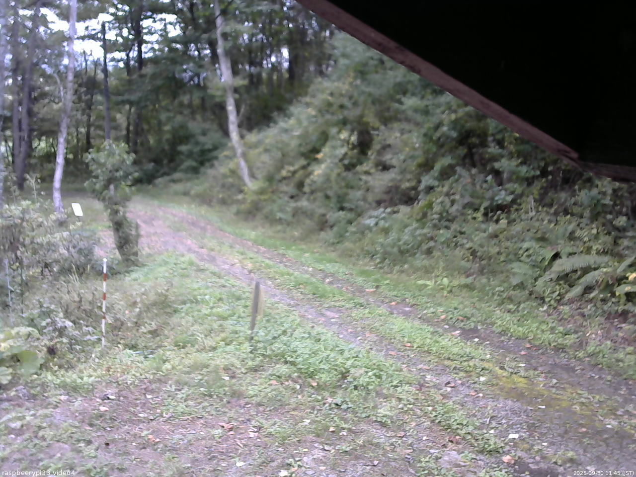 長野県菅平高原 ゆたか山荘 東側(坂下) 2025/09/30 11:45