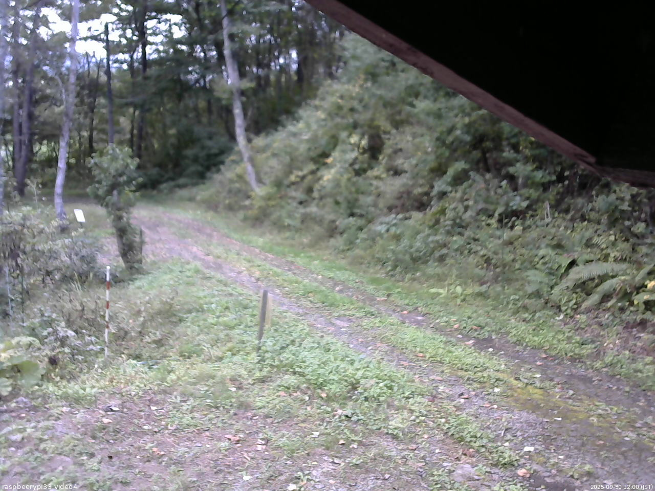 長野県菅平高原 ゆたか山荘 東側(坂下) 2025/09/30 12:00
