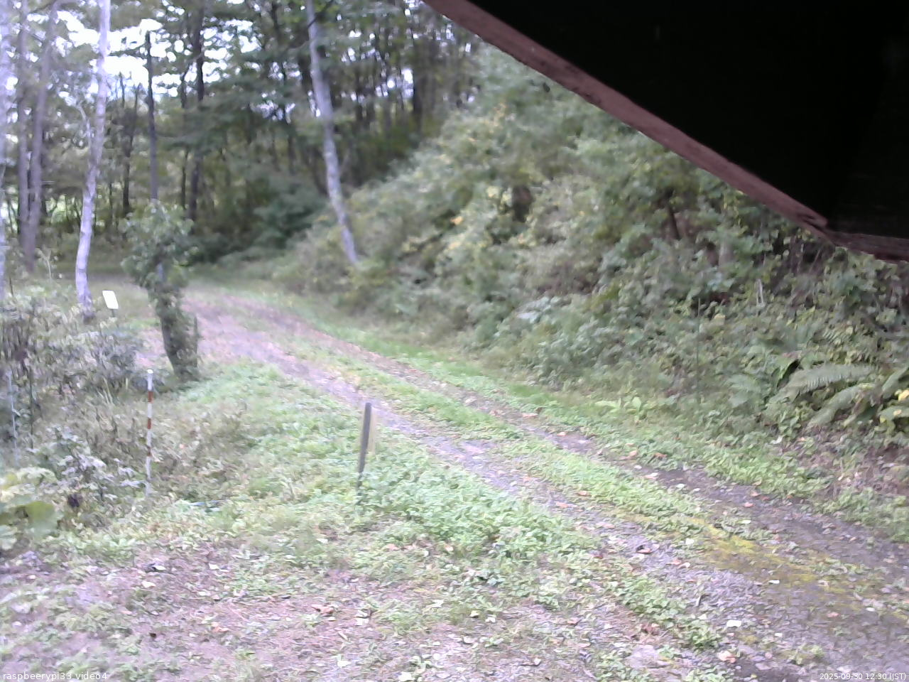 長野県菅平高原 ゆたか山荘 東側(坂下) 2025/09/30 12:30