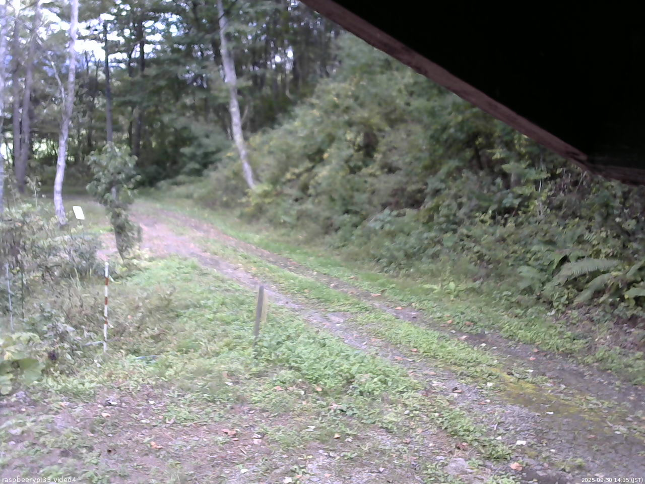 長野県菅平高原 ゆたか山荘 東側(坂下) 2025/09/30 14:15