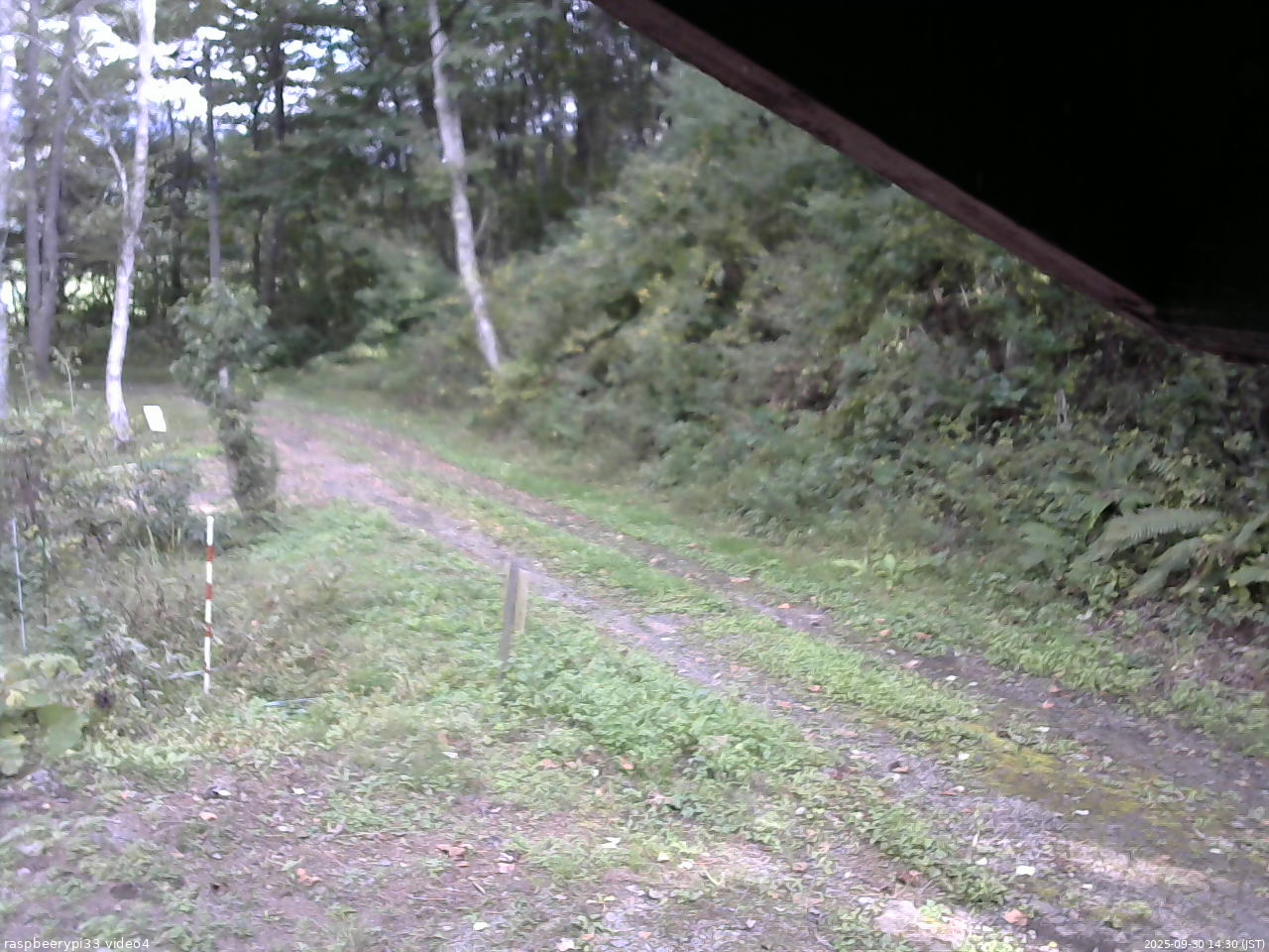 長野県菅平高原 ゆたか山荘 東側(坂下) 2025/09/30 14:30